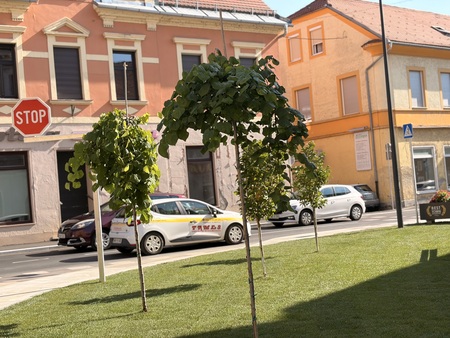 UE PTUJ_prenova križišča (10)